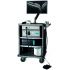 Bioptigen Envisu C2300