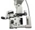 Bioptigen EnFocus