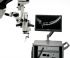 Bioptigen EnFocus