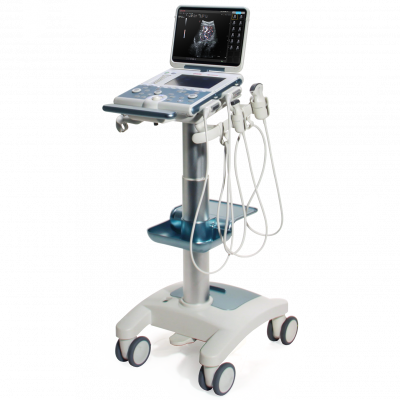 Esaote MyLab Gamma