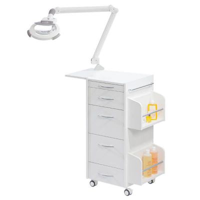 Ionto Comed Practica II